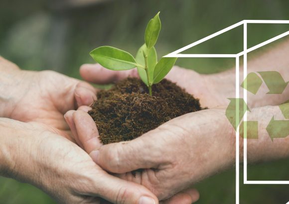 Módulo 07. Sostenibilidad de los envases y embalajes en la cadena de suministro Módulo 07. Sostenibilidad de los envases y embalajes en la cadena de suministro